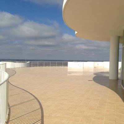 scyldg's profile picture. 