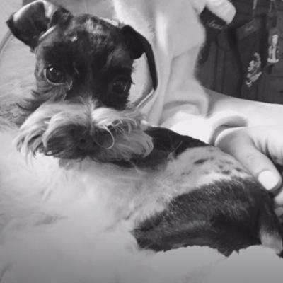 one & new puppy of grande family.thanks for your love and support