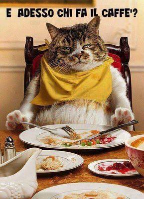 2d9433d70cd64b7's profile picture. 