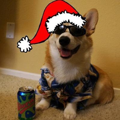the official feliz navidog