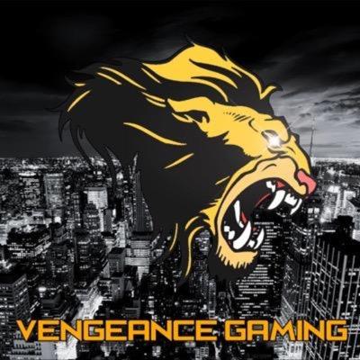 7Controllers:CinchGaming:NoScopeGlasses:Gecko&BadgerGrips: Use vengeance5 for 5%off NoScope glasses,cinch gaming. Vengeance1 for grip sponsors & Rage On Apparel