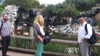 EliVBanegas's profile picture. 