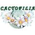 Cactofilia🌵 (@cactofilia) Twitter profile photo