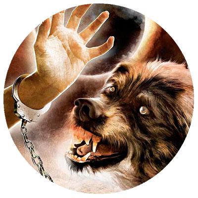 svuunhaasss's profile picture. Дельтапланеризм