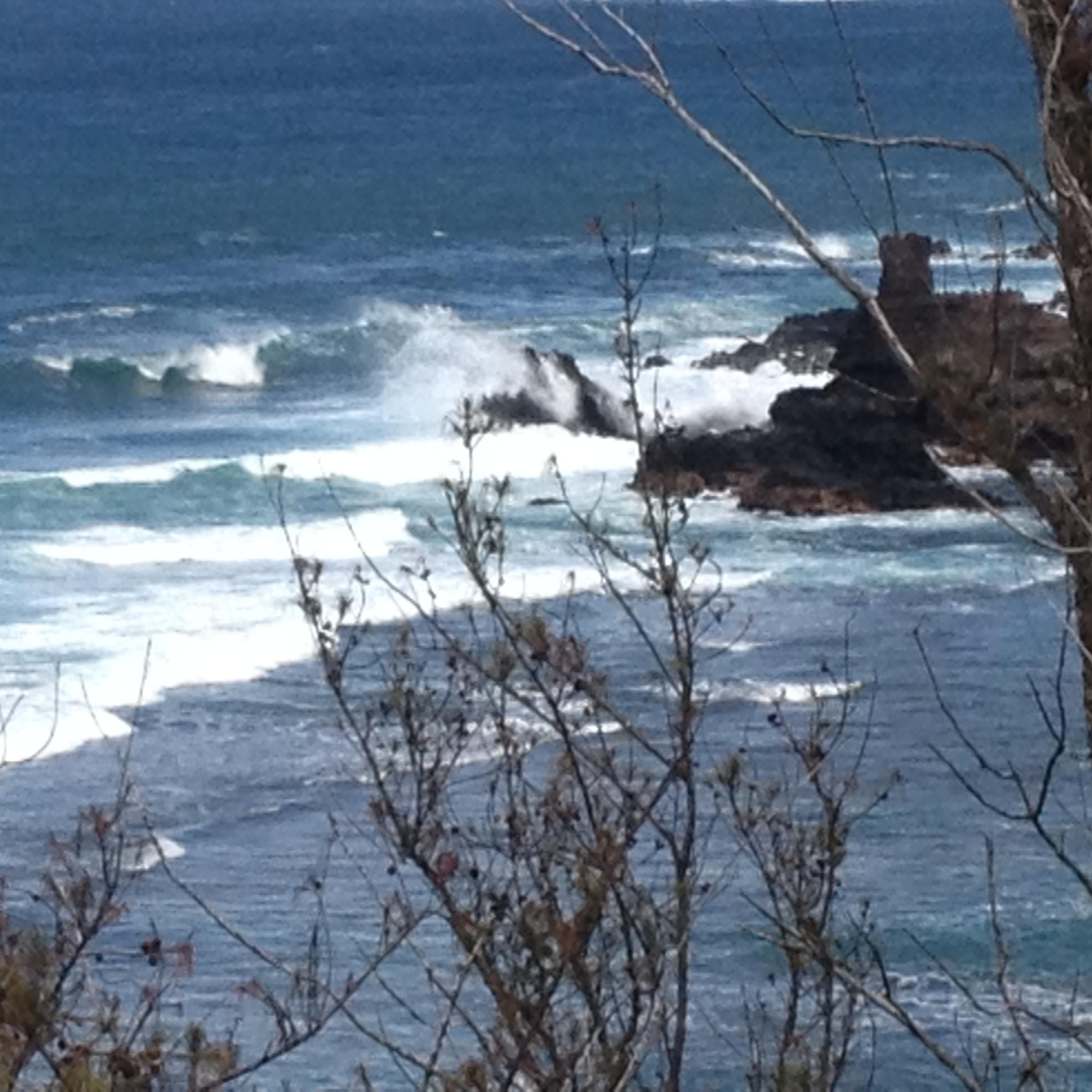 We are a small commercial fishing business and we tweet about fishing commercial and sport.