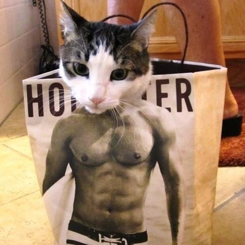 TsuraretaraTV's profile picture. 