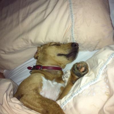 Catheri58396018's profile picture. 