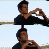 Dylan O'brien ❤ ❤ ❤ (@dylan_stiles_mz) 's Twitter Profile