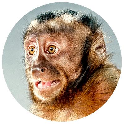 nihzuhsalina's profile picture. Туроператор