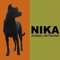 Nika Animal Network(@nikaanimalnet) 's Twitter Profile Photo