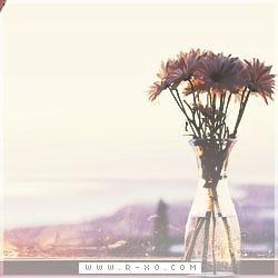 micewilywyn's profile picture. وتَنتَعِشُ فِي قلبِ كُلِ أُنثَى رائِحَةُ الأمُومَة ♥:) !