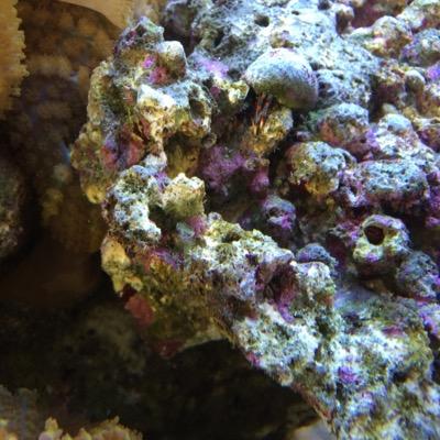 OfficialExcelHD's profile picture. Gaming,Comedy,And More!