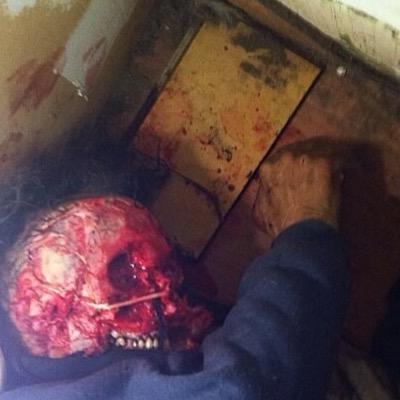 maliciousB45's profile picture. i have fallen and i cant get up