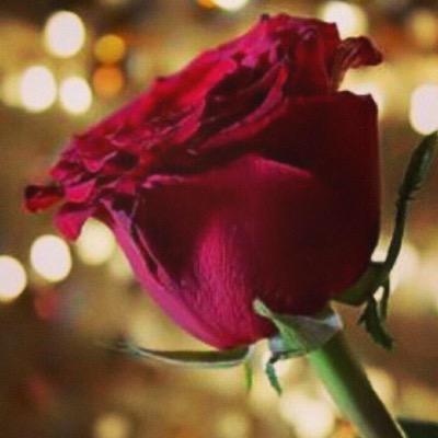مدير مدرسة ..تعليم المدينة المنورة ..همّة،ابداع،بصمة. ( حساب شخصي )