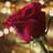 acc797's profile image