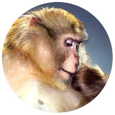 votabrosrimi's profile picture. I am the part of Carrington College in Albuquerque, NM.