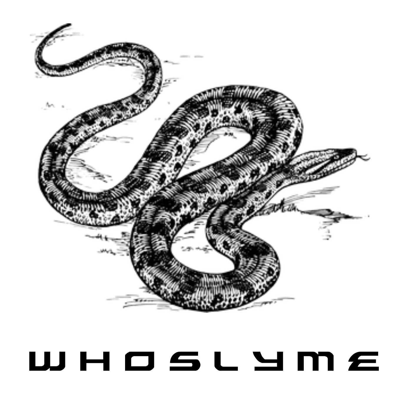 second account WhosLyme/ former RE: 0.2k SurpM:0.1k SU:21K Solo skype: HitLikeFiiz youtube https://t.co/XjaqIsLAE3