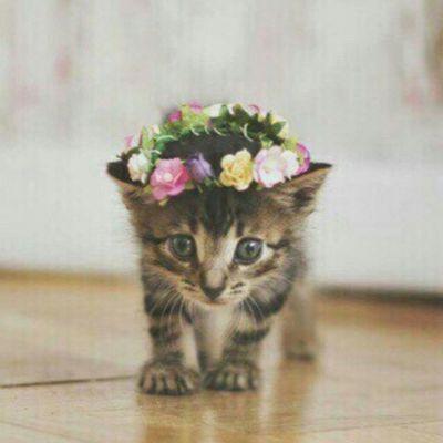 There's so much about me that doesn't fit in a littel box ~