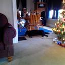 Bailey Bullock - @baileybullock21 - Twitter