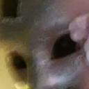 Roberta King - @kingroberta94 - Twitter