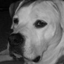 Jeff Kratz - @jak0206 - Twitter