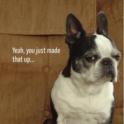 DogSkeptical's profile picture. skeptical dog is very skeptical, let's see the facts!