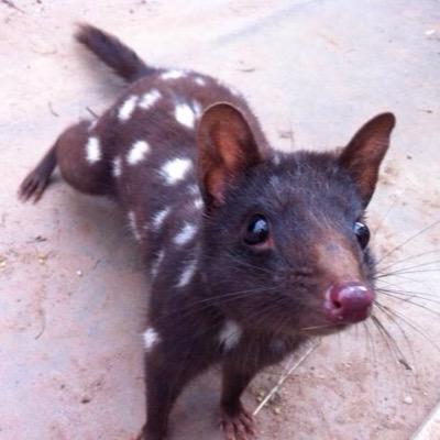 No political affiliations. Personal account. Retweets don't imply endorsement. Thoughts my own. Adelaide, Australia