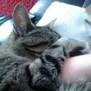 Hannah Rust-Howell - @f8970cfc1b50430 - Twitter