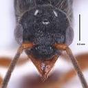 Monique Devlin - @DevlinMonique - Twitter