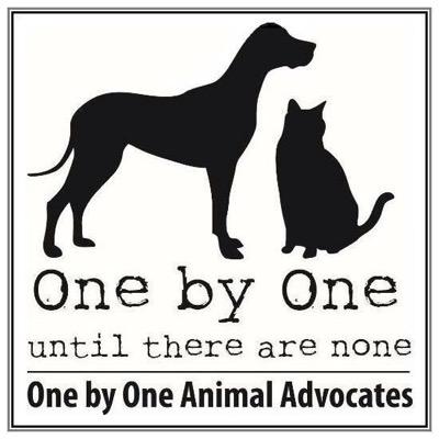 OnebyOneAA Profile Picture