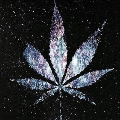 vbvvbcvv's profile picture. 