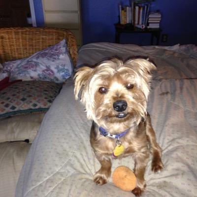 kiesel_rs's profile picture. 