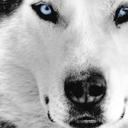 Sam Star - @UtsumiIchi - Twitter