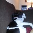 BETH CONNELL - @BETHCONNELL - Twitter