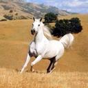 هاوي رومنسيه (@059823) Twitter