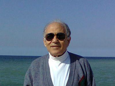 Professor of Pharmacy, College of Pharmacy, University of Alexanderia
Egypt