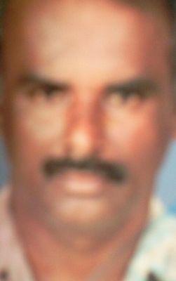 koya_koyas's profile picture. Koya koya