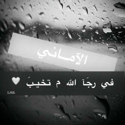 ‏لآتخسرون ..
من يصبر معكم علئ آلدرب آلطويل ،
من يشد يده بـ يدكم كأنه يقول :
آنا معك مهمآ كآنت آلظروف  .♩

#نصيحة