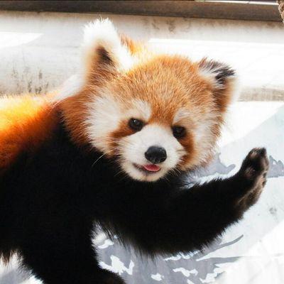 edge_galaxy's profile picture. 