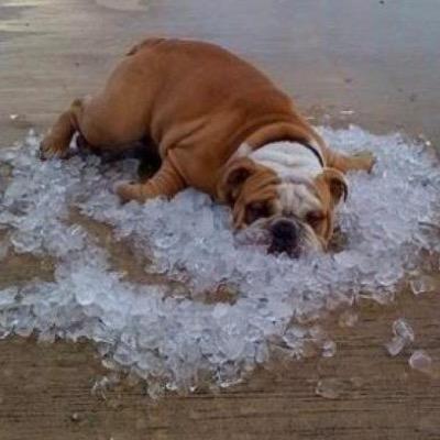 csnort's profile picture. 