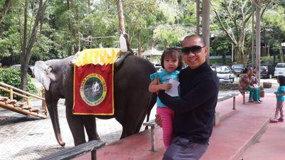 bongdumars's profile picture. Senior Consultant: STM & TOC Assessments, e-commerce & Omnichannel warehousing & distribution, SME developer, and Trainer