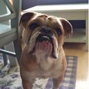 Tammy Steiner - @tsteiner9 - Twitter