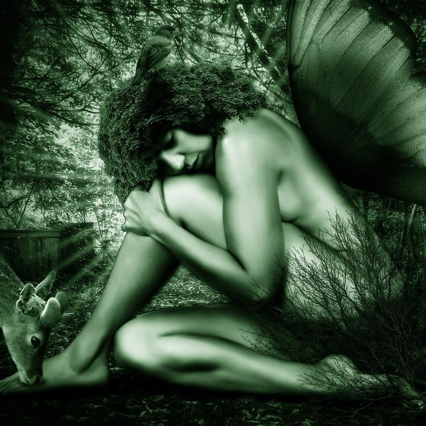 “I started writing to escape my life, Then writing became my life. flying to Never-land and having tea with Fauns” #Writer Campaigner for Cetaceans #LGBT #poet