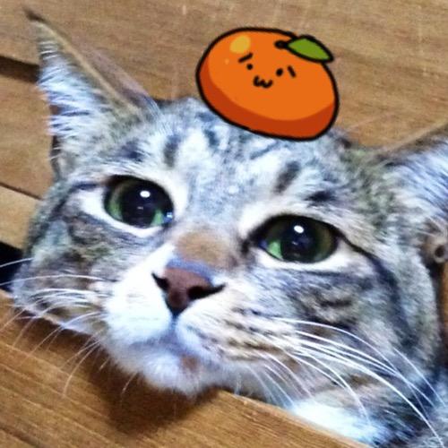 Twitter profile picture for @Astoria