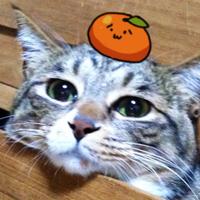 Astoria (@astoria) 's Twitter Profile