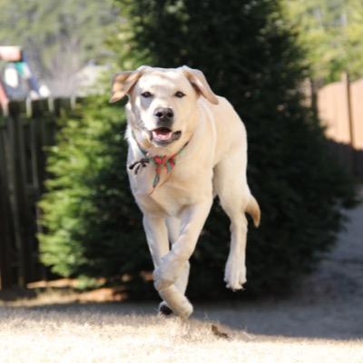 aluthartphoto's profile picture. Using a Canon 60d