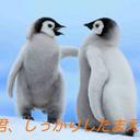 平和が実 (@119nr) Twitter