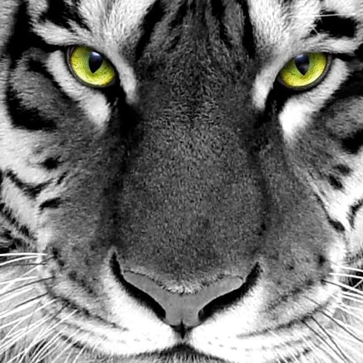 fk_salah's profile picture. 