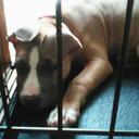 Nicolas Scott - @NicolasScott16 - Twitter