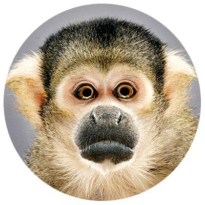 iorosklekvziy's profile picture. Флейринг